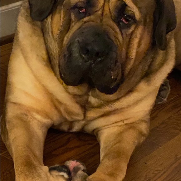 Meet your Posher, Donna - Picture 8 of 8